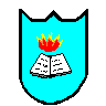 [Enlightenment (Holy Book) Shield]